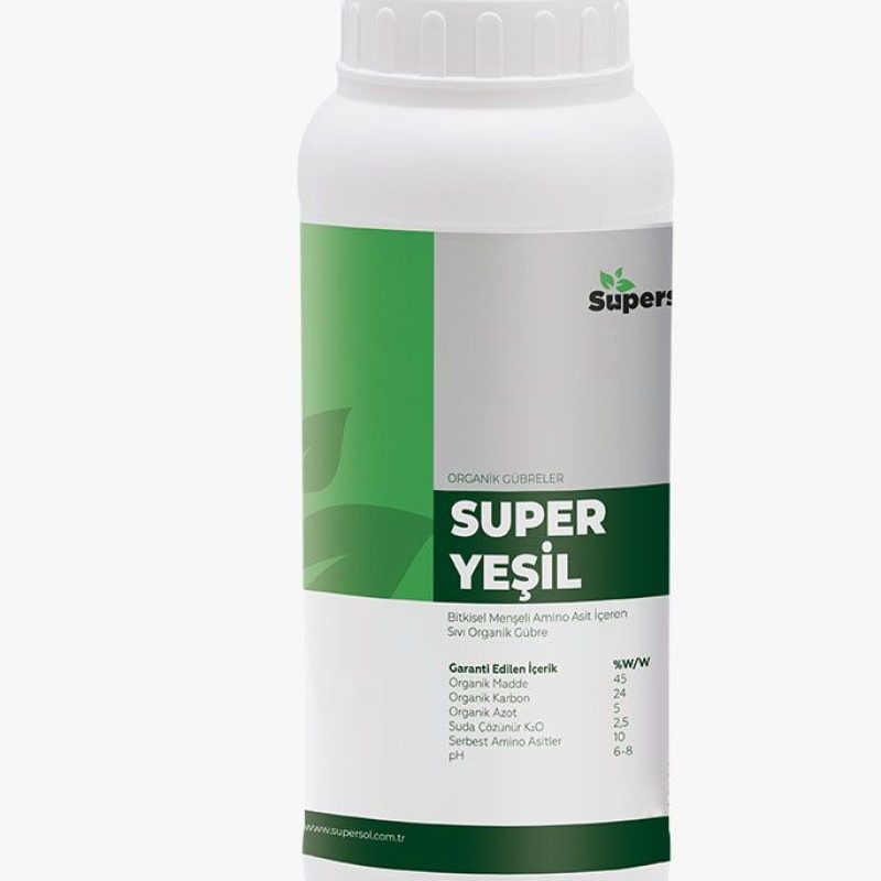 WhatsApp Image 2026-03-17 at 11.08.41 AM (1)