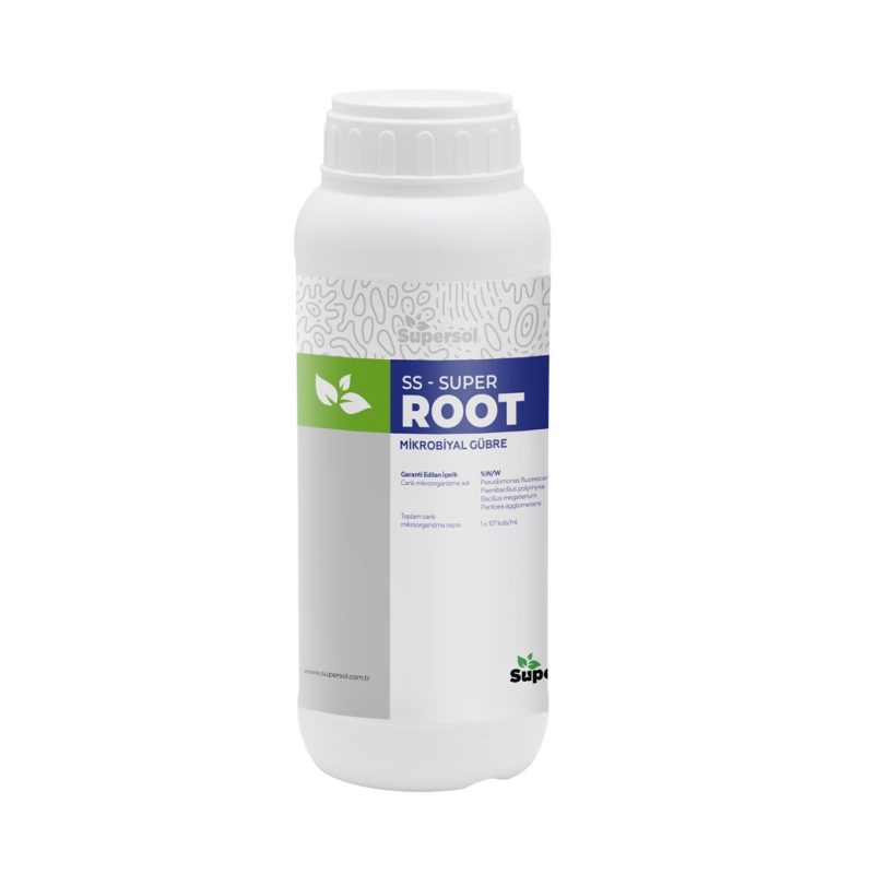 root kopya