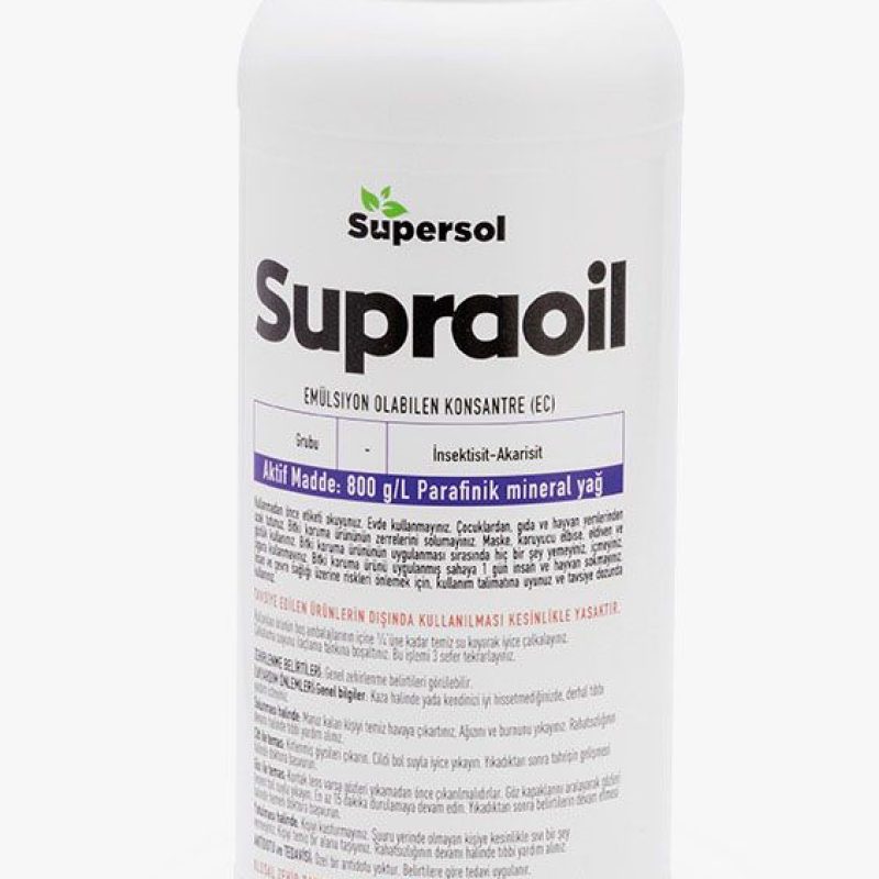 WhatsApp Image 2026-03-17 at 11.08.41 AM